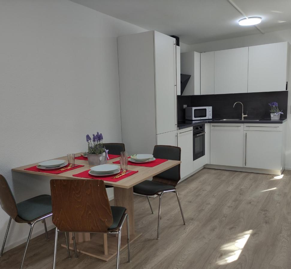 גוטמדינגן 2 Zimmerwohnung In Bietingen מראה חיצוני תמונה